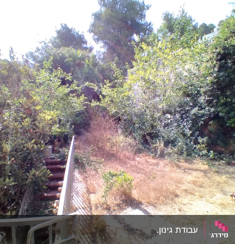 כלי גינון על הקרקע ליד שיחים ועצים